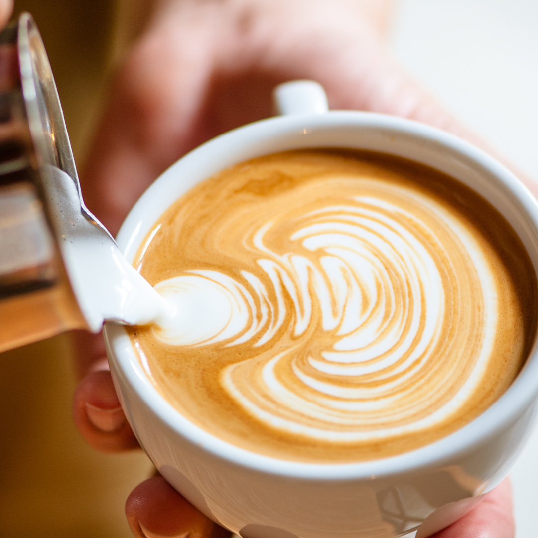 Free up size for members The Coffee Emporium Figtree Grove